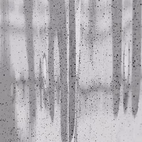 AreeyaComoBianca Collection