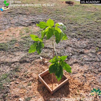 Item #8500196597889277390194123329501889087166328879864934763448348783034383728641 Media