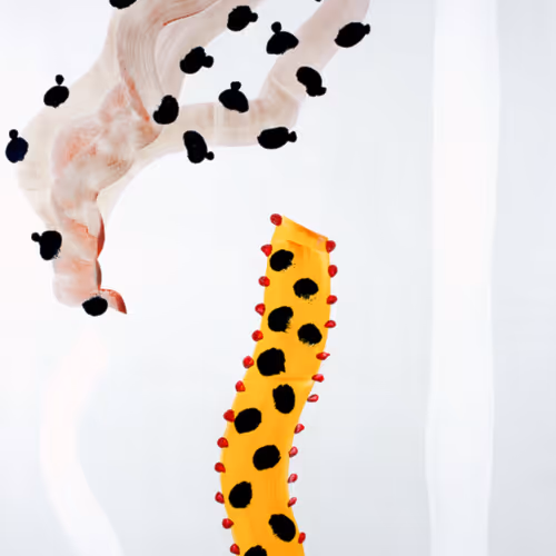 82389879720576235689883874954171763006981900768382394728967861645333678260225