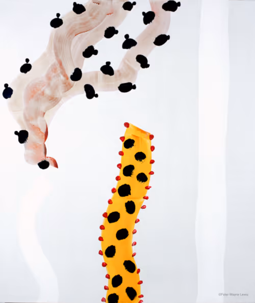 Item #82389879720576235689883874954171763006981900768382394728967861645333678260225 Media