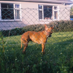 Beware of the madra