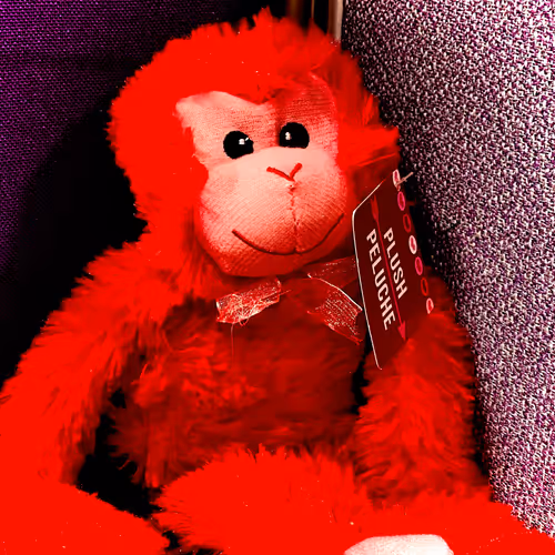 Happy Monkey, Happy Life 