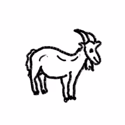 Goat