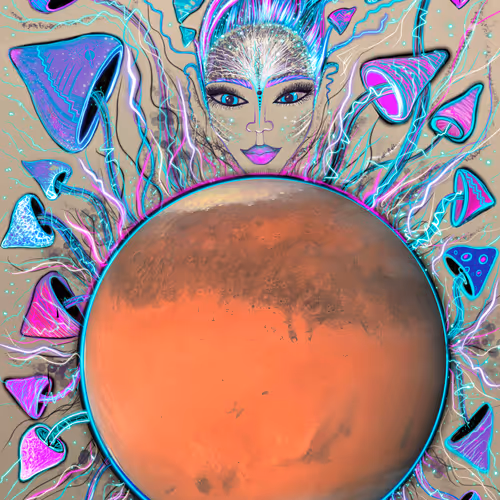 Cosmicendoart Collection