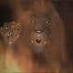 86762684104497857974941155235065836816245977842953370466217411282670995898369