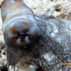 80965803268169370603932631570667161375508893671094224909166964133709505101825