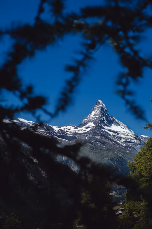 Item #44719000099665773654266672940263648728753689185242925436087362552408607555585 Media