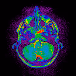 64162533542198579898252916190583583845604629893829087458582975876634389774337