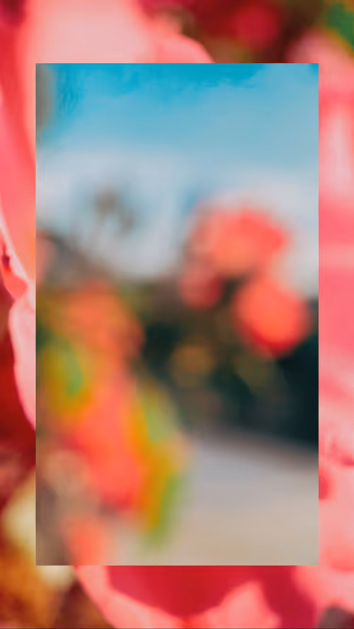 Item #12986489393004137742475338314428566941720217178047710048740287641591012655105 Media