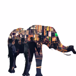 Invisible City Elephant #3