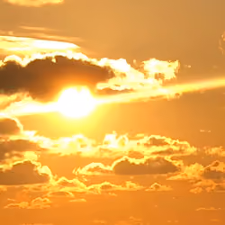 Gold Horizon #2 <wide angel>