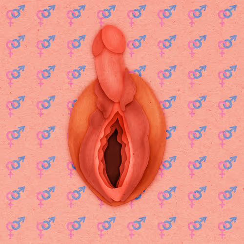 Item #83469337007199017734157032909695619947256388016886346874491258708082449973249 Media