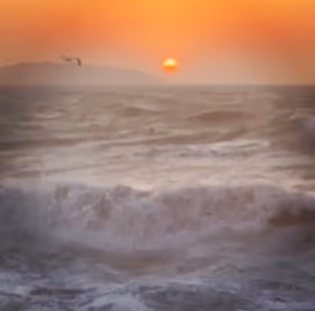 Alyson-Numcake Collection