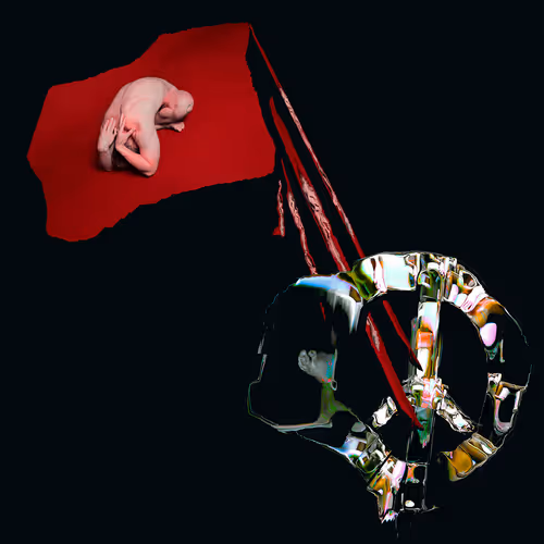 64937308923702188921050477922985568255563615287509163663175392217798451134465