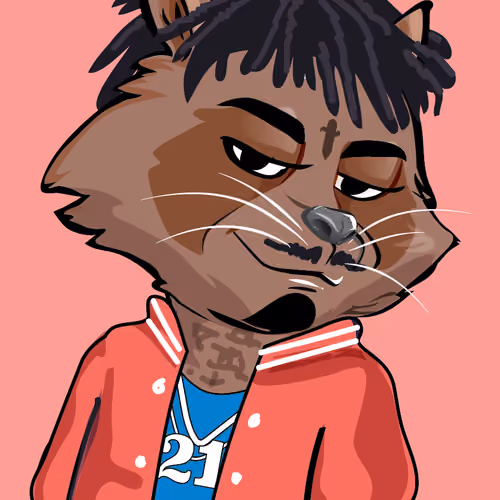 Raccoon-260