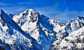 Untitled Collection #184652431