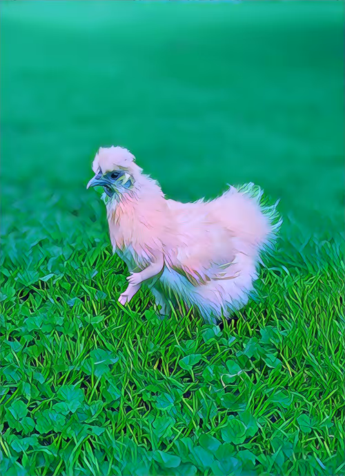 Item #12986001583624842443475589555777676835882886084855718816066093911469237207041 Media