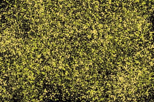 Item #944858660688572096584618472555991747686703840338442188877309756691152109569 Media