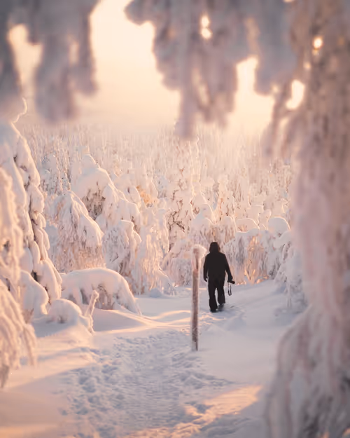 Item #85137439897558800446681939847979956921112818192745958846838338945765318066177 Media