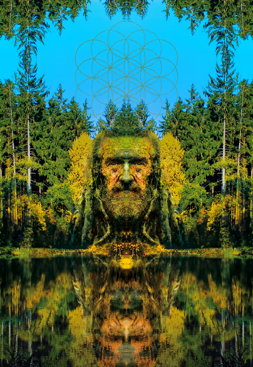 Item #5414944906941611397809813032853610400668176620091167783688987395924841988097 Media