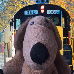 Diesel Train WallyToken