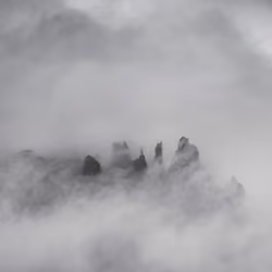 swallow's nest