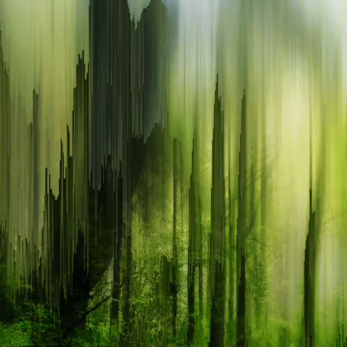 Earth Day Collection : Forest Breathing