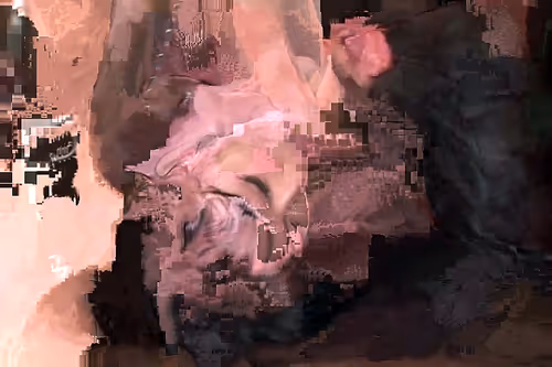 Item #27175538774817670301981119189846699523933914292239667168195015510369541029889 Media