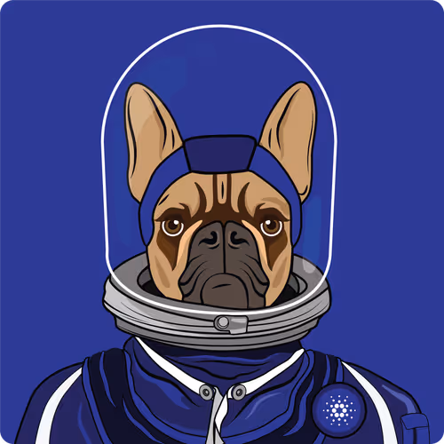 Item #65695530338317565886450650659772509774405274730065055656540856528892881534977 Media