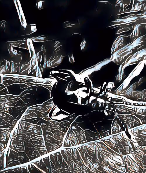 Item #81269833061274051173789884418282317830923519221172308843662164427395003580417 Media