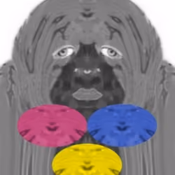 Mr.Color#4
