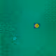 54102744304545293296074359318034272122875844147539691919027507414627686285313