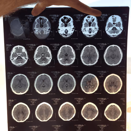 Untitled Collection #195532198