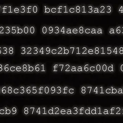 Wire in Numeris I