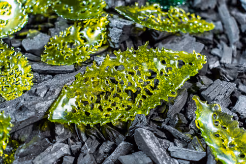 Item #13800958519219812391600490804879685410655097150635190822712511121797721096492 Media