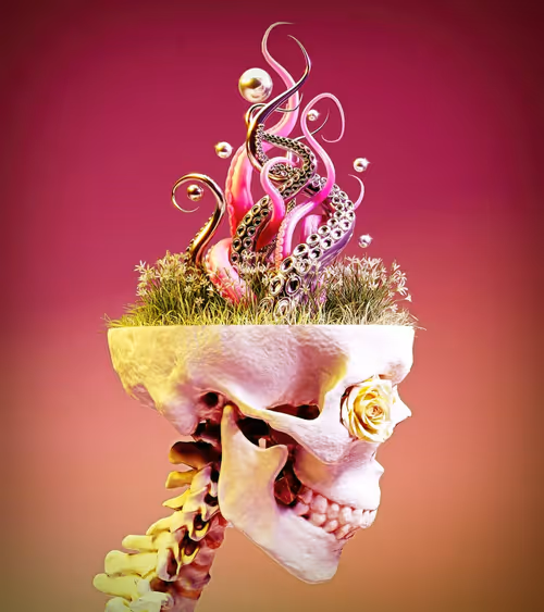 Item #12510215359888036692443693821200507961939031093531727621071302371774381948929 Media