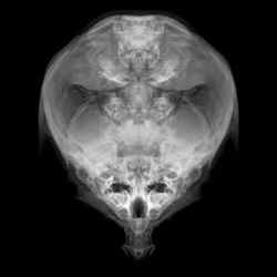 85859191866638808365331437874953228966785819470149775310971063218635412602881