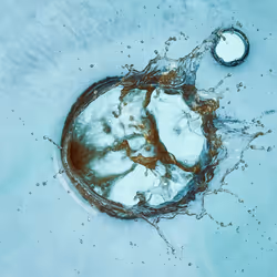 46489901761508154690977052556102681350934379687164571149816291730488398184449