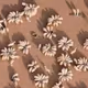 112638842012957323397667355409978621827807315041052331183986003321876310392833