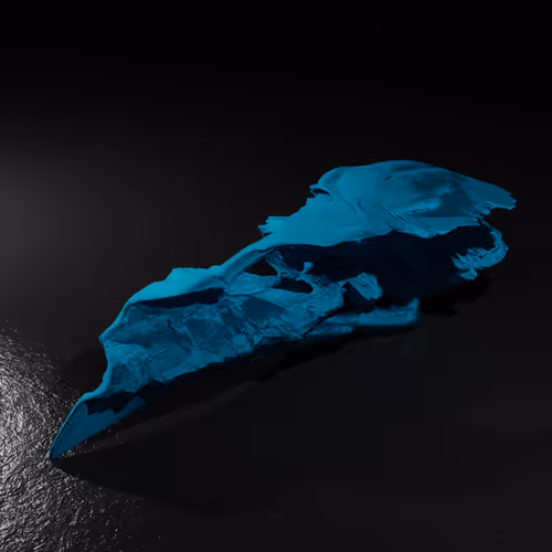 Item #20250001323464517401306315509532802406644919304029953922967480144539940814849 Media