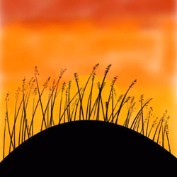 Sunset 1
