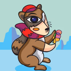 one-eye raccoon
