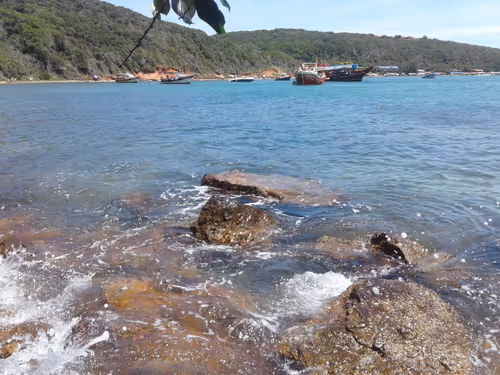 Item #107015995692476564277059662428340870813755723482141384532327424540520996667393 Media