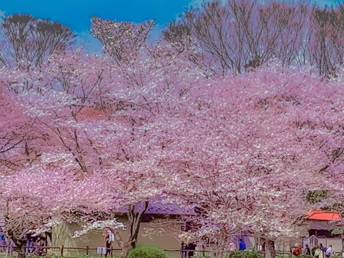 Item #26309083901545567454709889211670292098627789932924015051489478910796913180677 Media