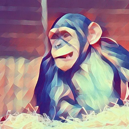 Polyxanimal