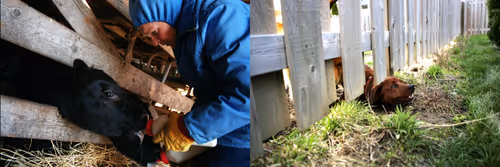 Item #95798395344160826478230491499252628572040143534185362822691349304920711888897 Media