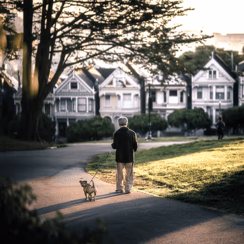 The Streets of San Francisco