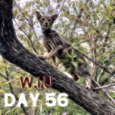 Item #39423832963151627607691891064013214374554670685362285359898062766781245685761 Media