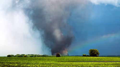 Item #46154160826271547341634704556143841503597126410650149385483954198646783737857 Media