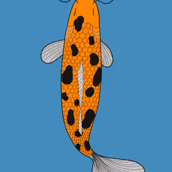 Koi #09